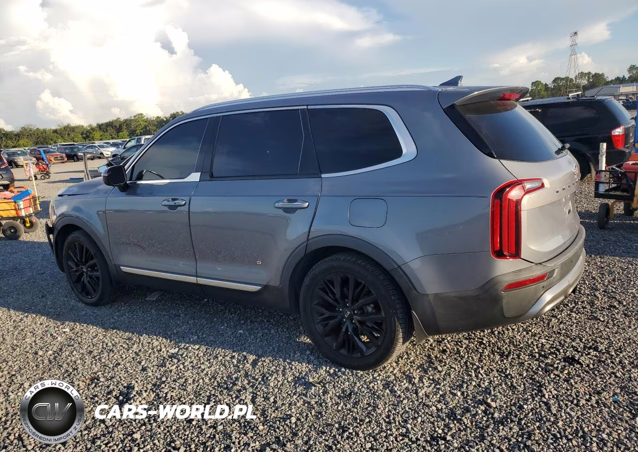 2020 Kia Telluride Sx VIN:5XYP54HC4LG035354 - 2