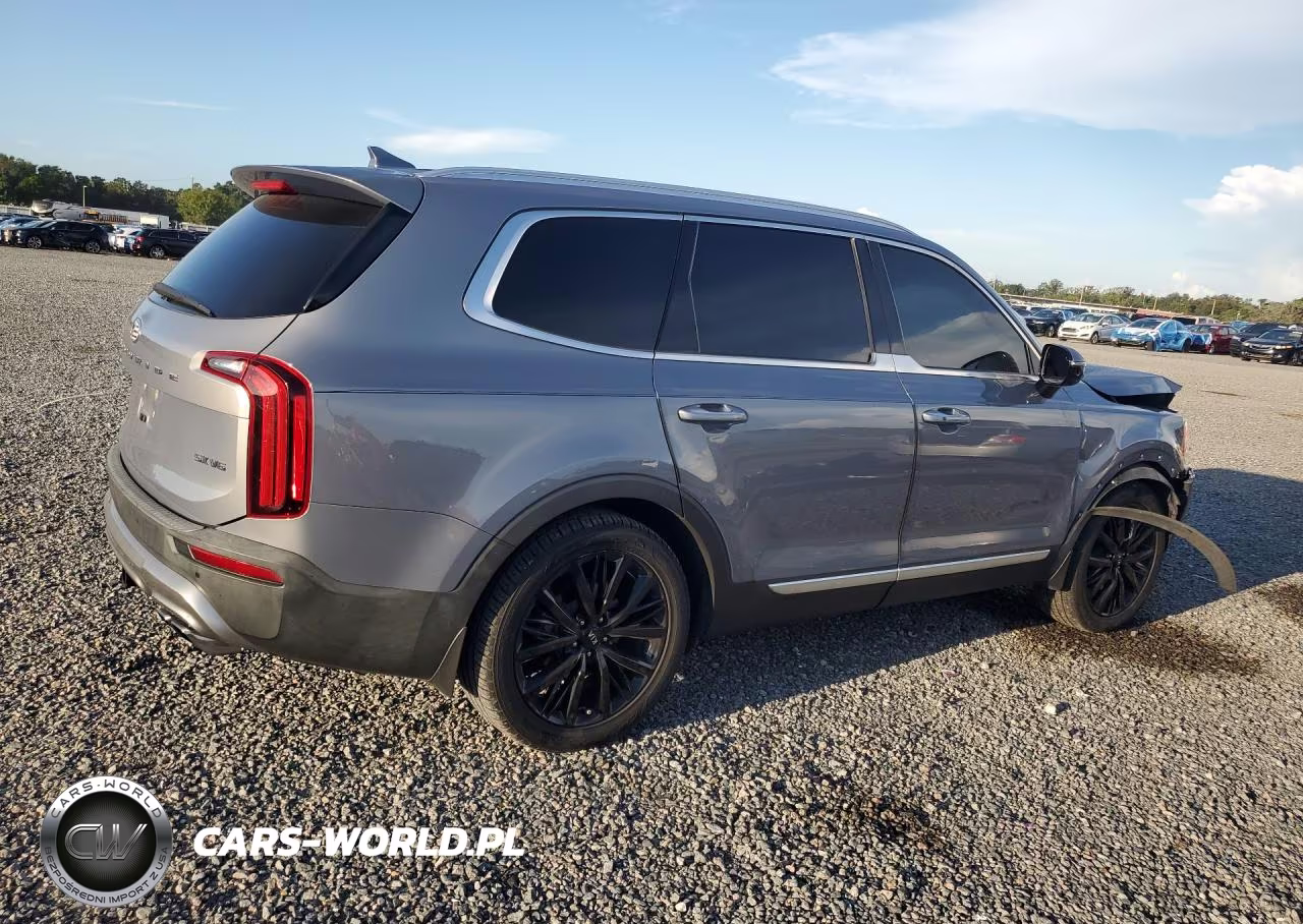 2020 Kia Telluride Sx VIN:5XYP54HC4LG035354 - 3