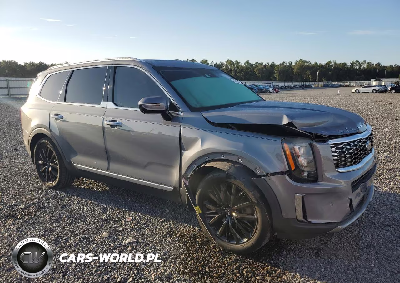 2020 Kia Telluride Sx VIN:5XYP54HC4LG035354 - 4