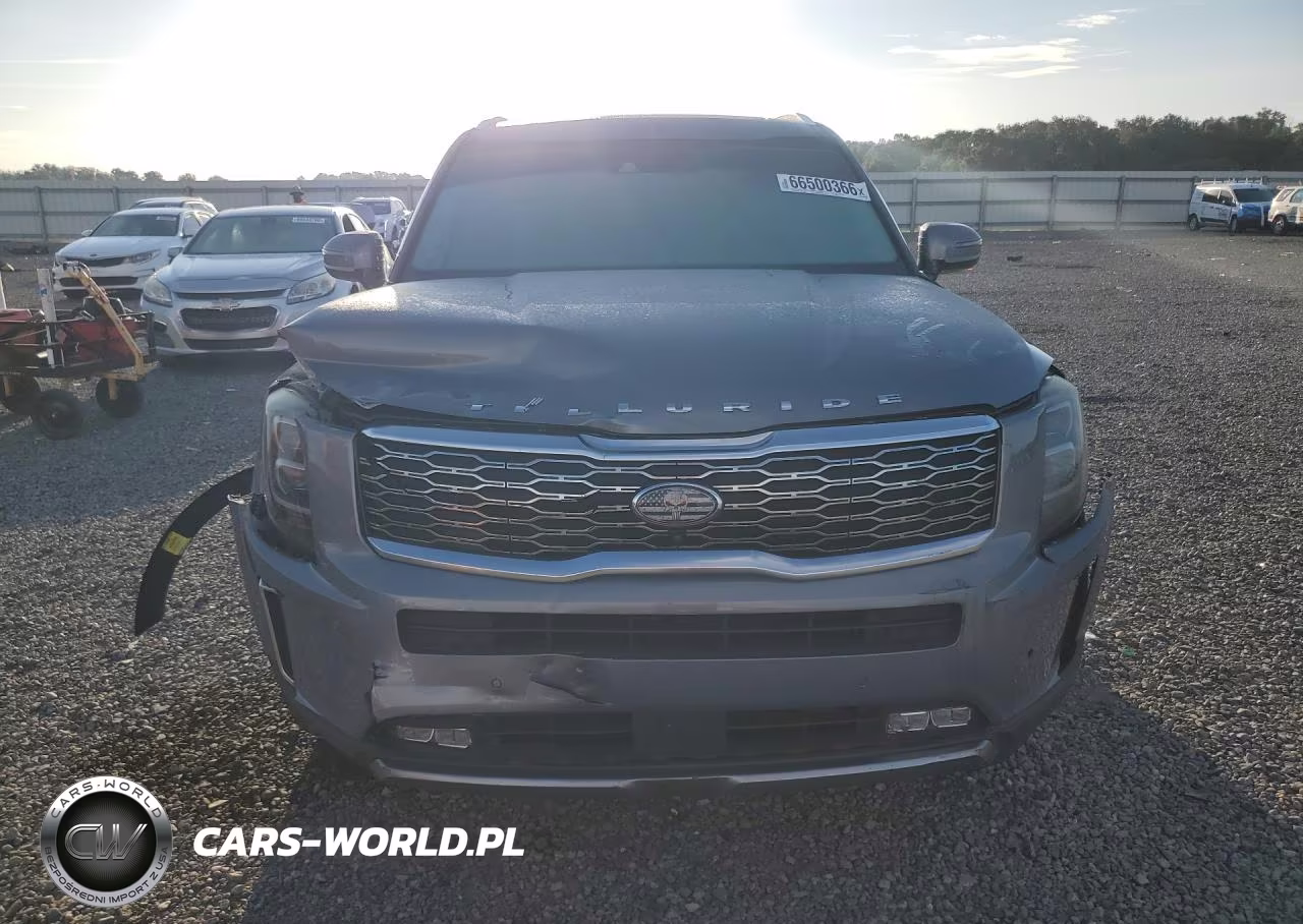 2020 Kia Telluride Sx VIN:5XYP54HC4LG035354 - 5