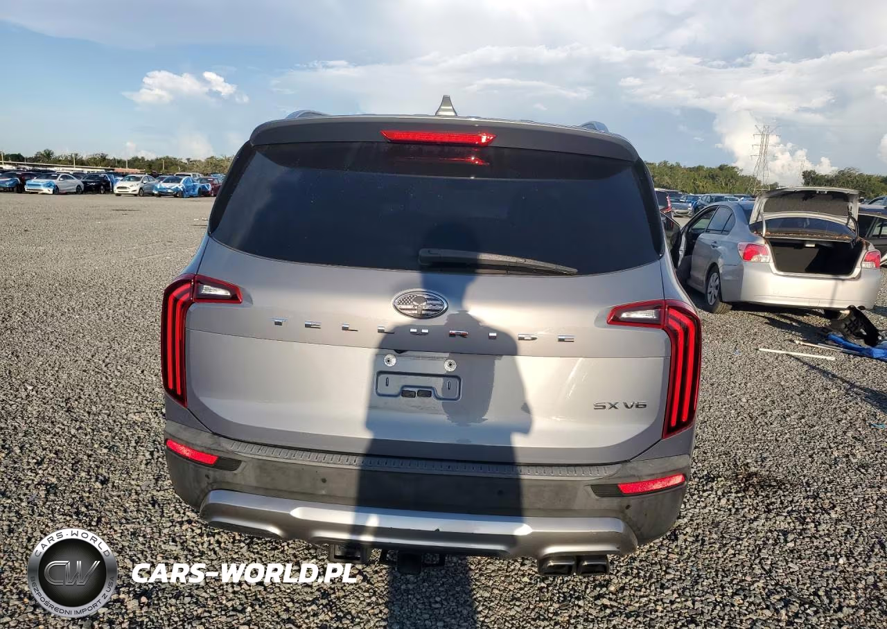 2020 Kia Telluride Sx VIN:5XYP54HC4LG035354 - 6