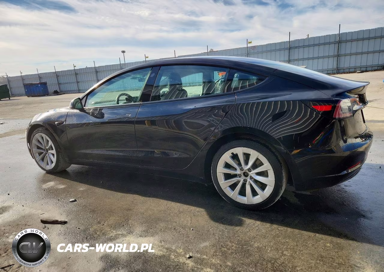2022 Tesla Model 3 VIN:5YJ3E1EAXNF304533 - 2