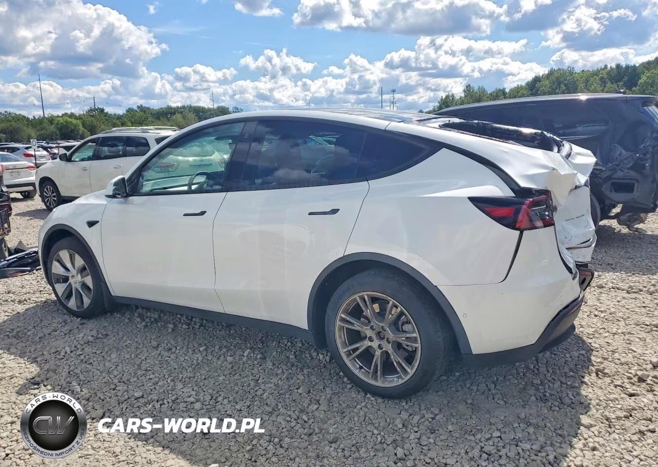 2022 Tesla Model Y VIN:7SAYGDEE4NF569021 - 2