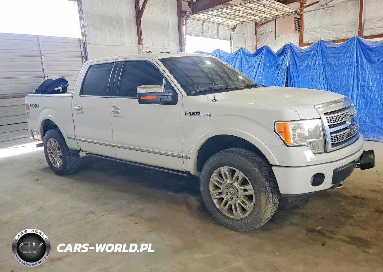 2009 Ford F150 Supercrew VIN:1FTPW14V69FA85218 - 4