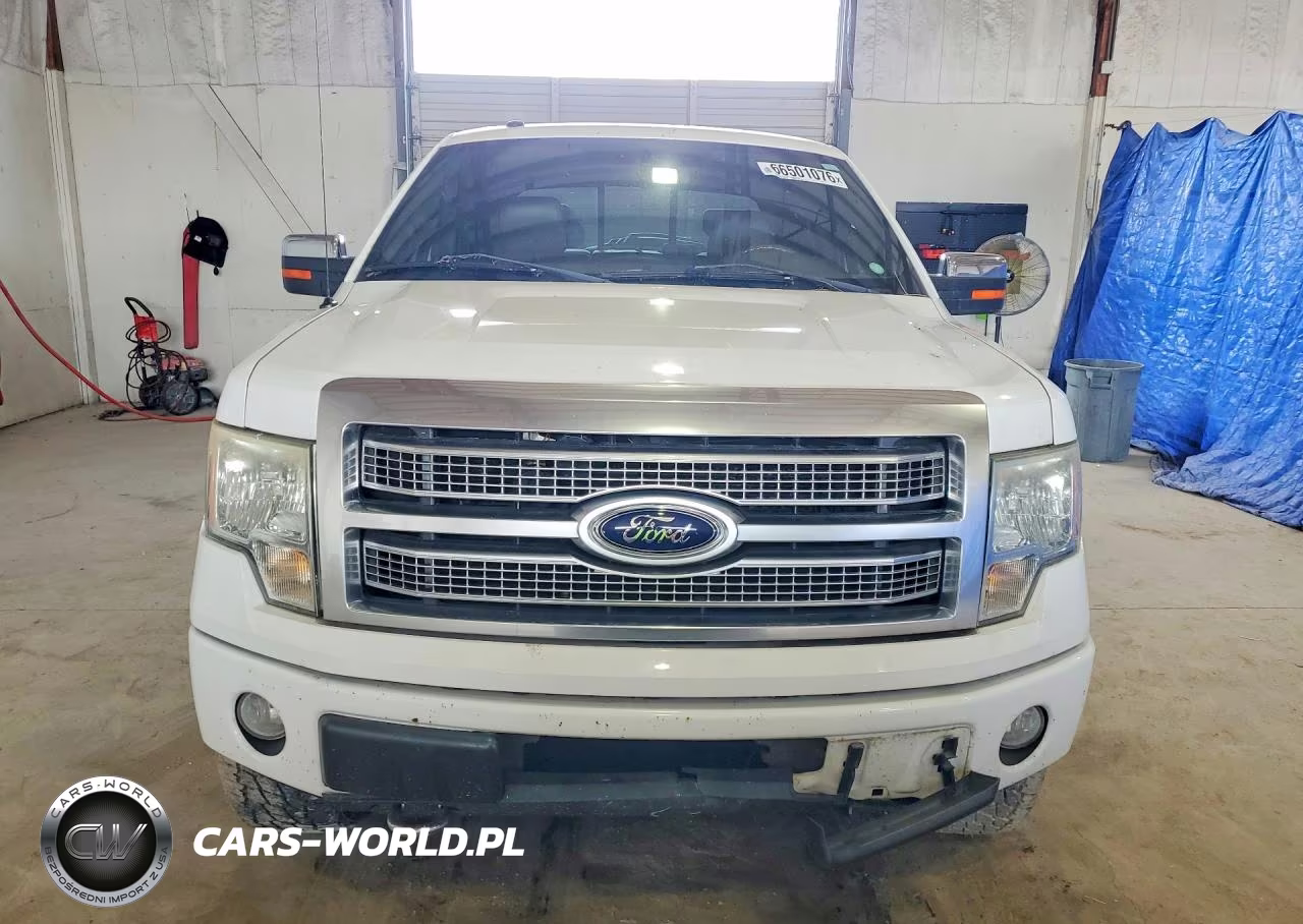 2009 Ford F150 Supercrew VIN:1FTPW14V69FA85218 - 5