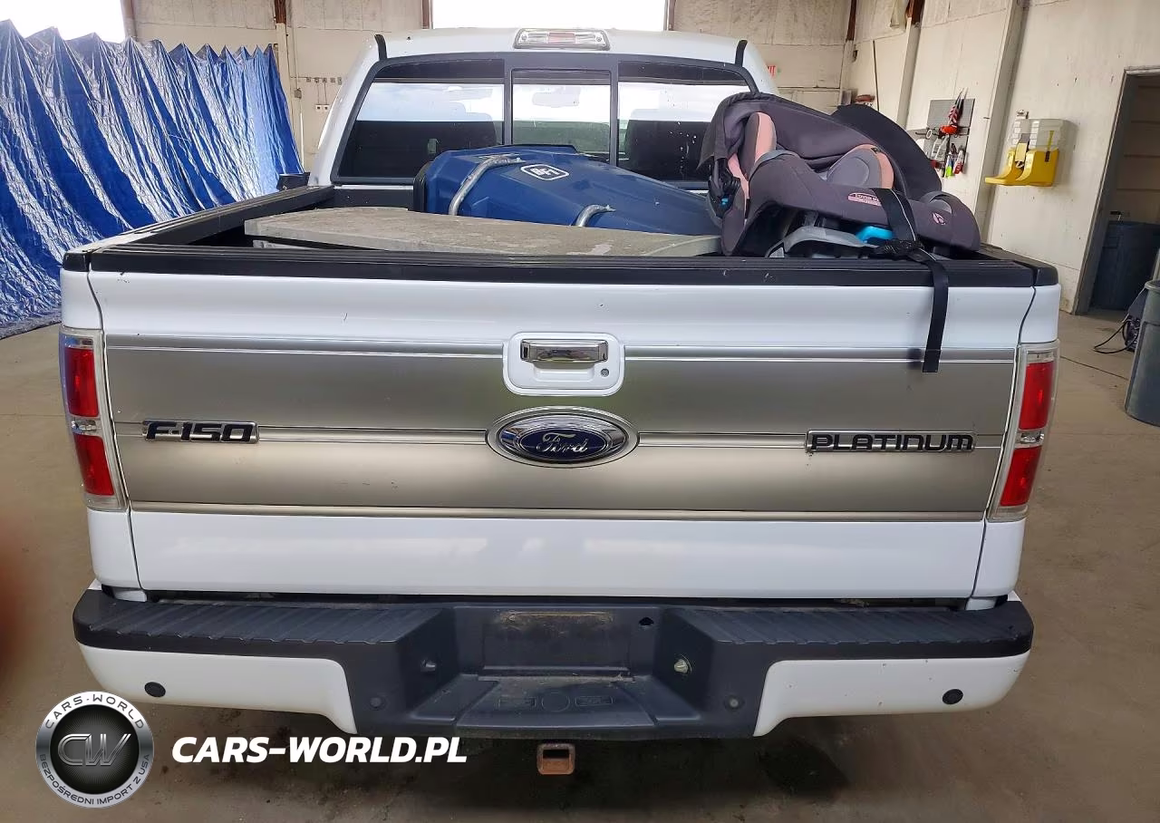 2009 Ford F150 Supercrew VIN:1FTPW14V69FA85218 - 6