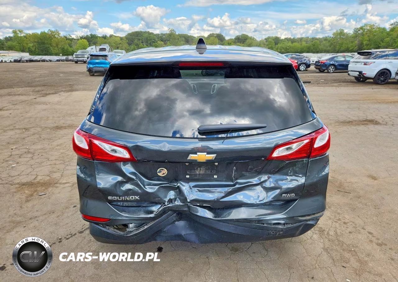 2019 Chevrolet Equinox Ls VIN:3GNAXSEV6KS549253 - 6