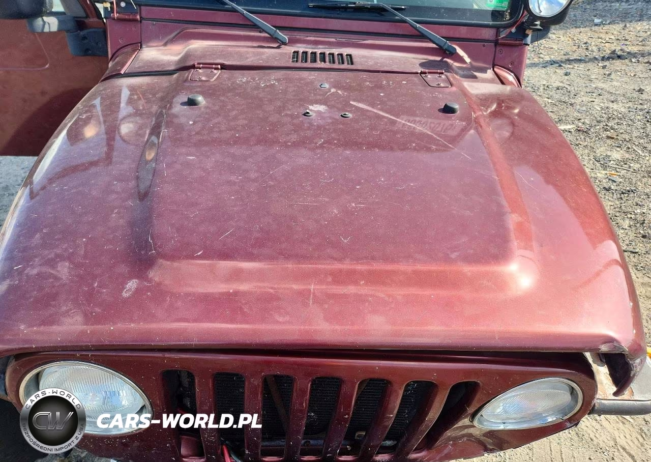 2003 Jeep Wrangler - Tj Sahara VIN:1J4FA59S53P343417 - 11