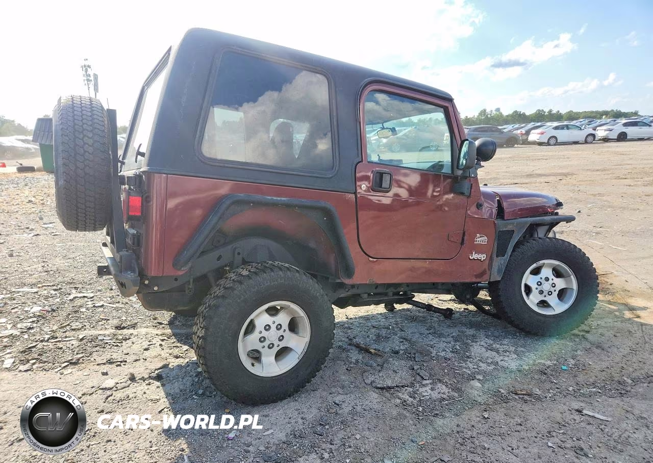 2003 Jeep Wrangler - Tj Sahara VIN:1J4FA59S53P343417 - 3