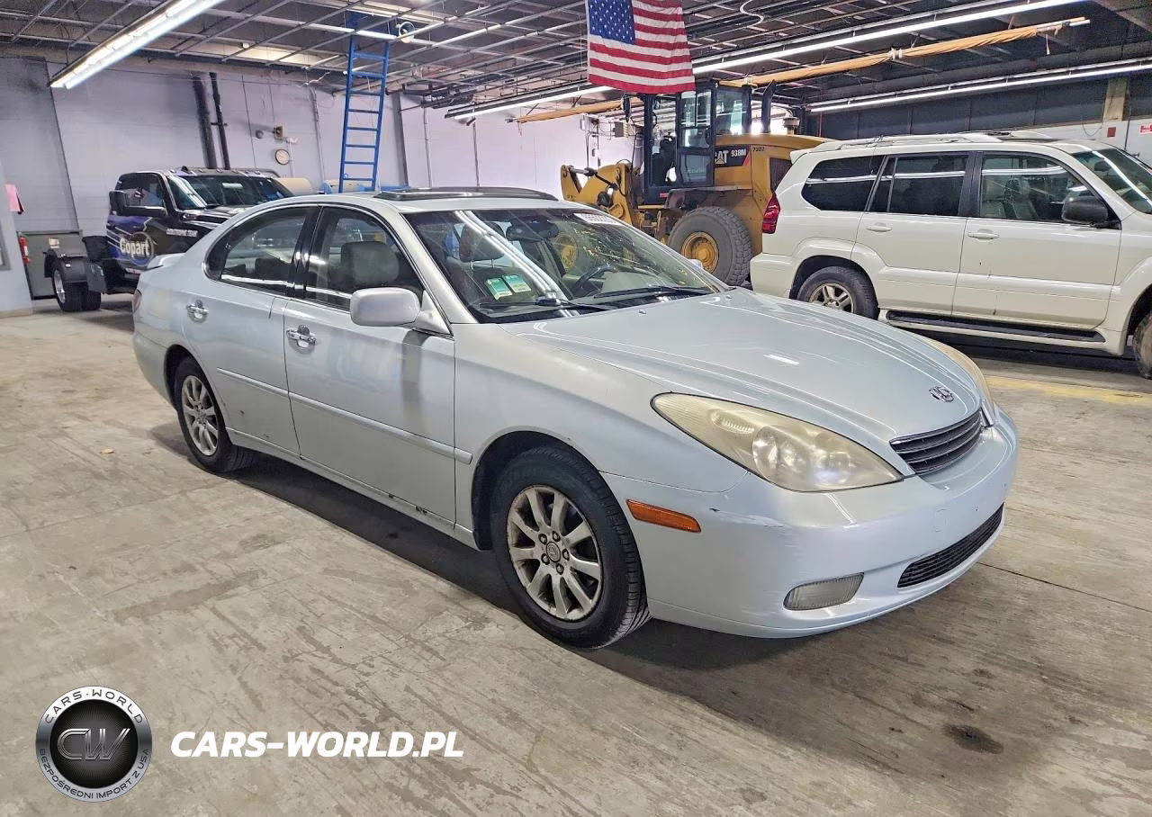 2004 Lexus Es 330 VIN:JTHBA30G345029732 - 4