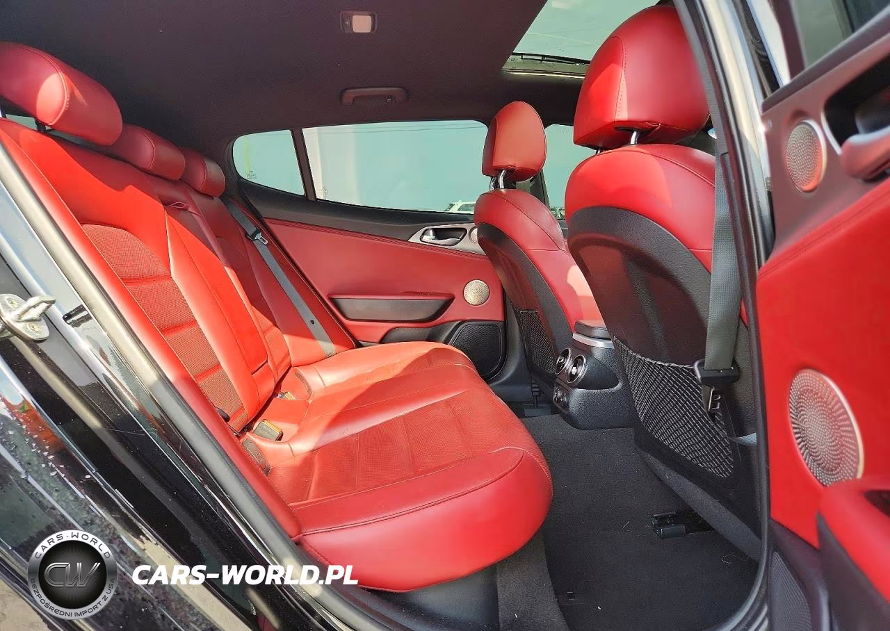2019 Kia Stinger Gt2 VIN:KNAE55LC7K6063085 - 10
