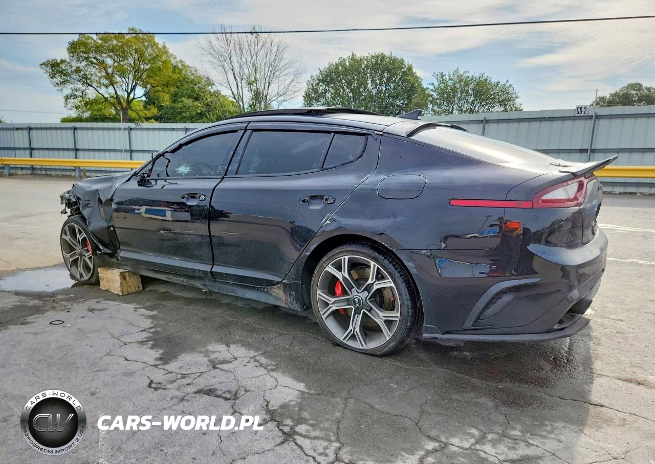 2019 Kia Stinger Gt2 VIN:KNAE55LC7K6063085 - 2