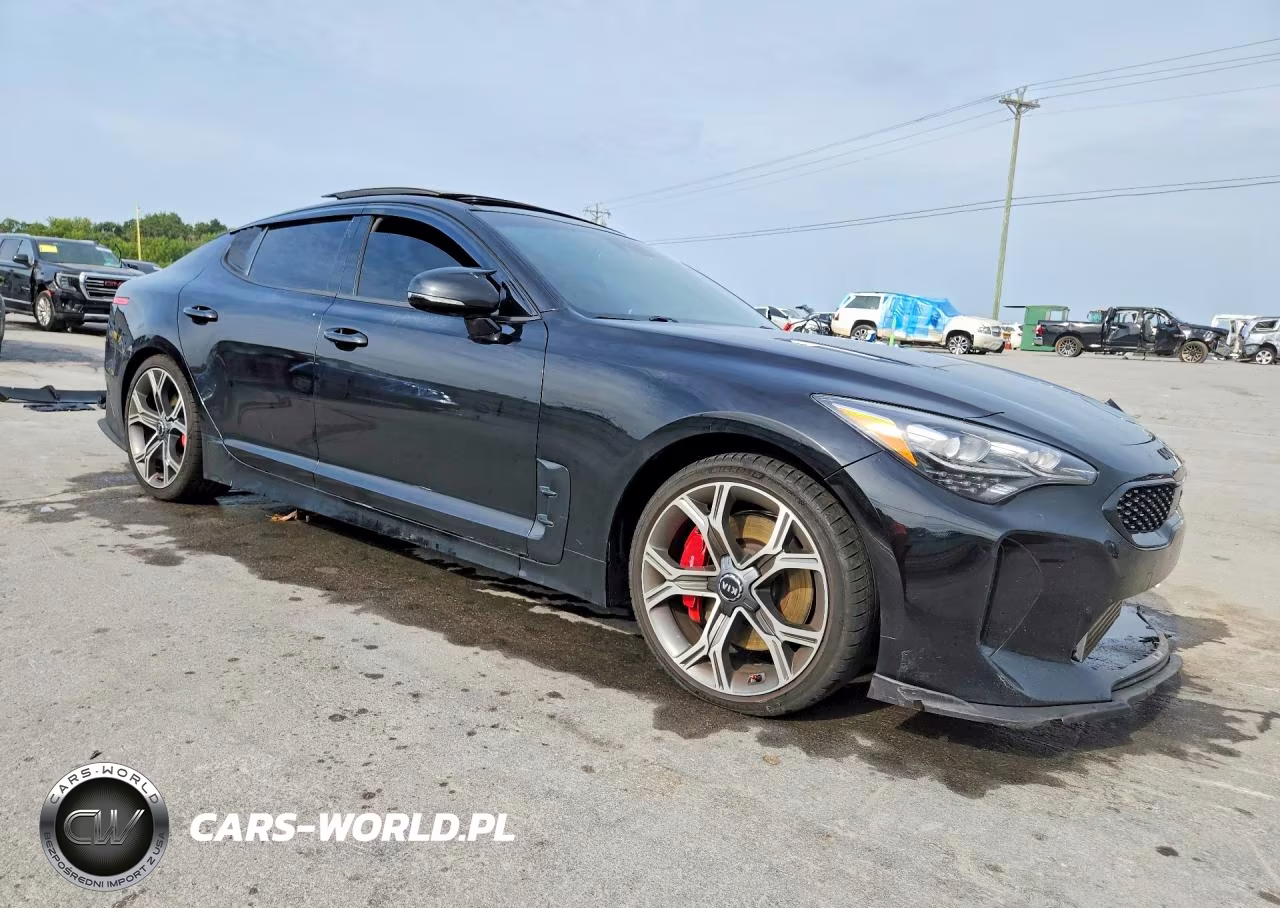 2019 Kia Stinger Gt2 VIN:KNAE55LC7K6063085 - 4