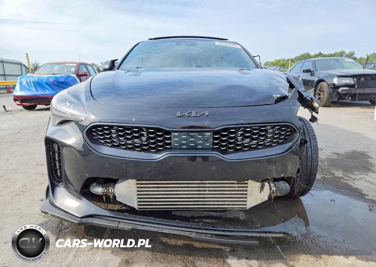 2019 Kia Stinger Gt2 VIN:KNAE55LC7K6063085 - 5