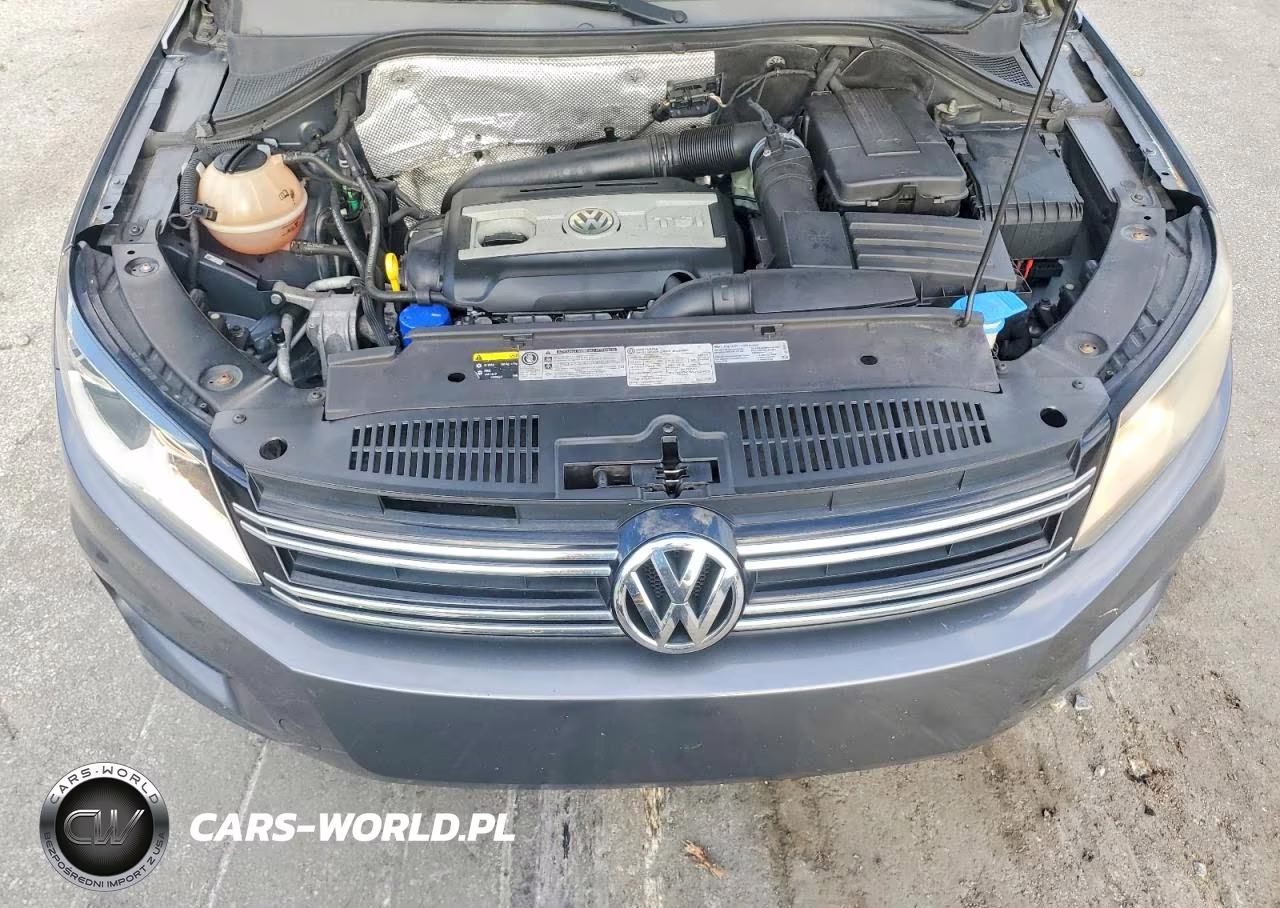 2016 Volkswagen Tiguan S VIN:WVGAV7AX7GW559266 - 12