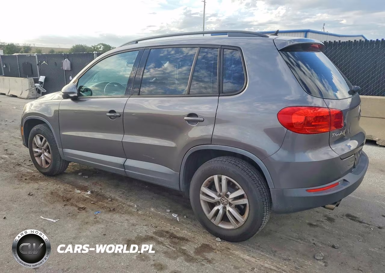 2016 Volkswagen Tiguan S VIN:WVGAV7AX7GW559266 - 2