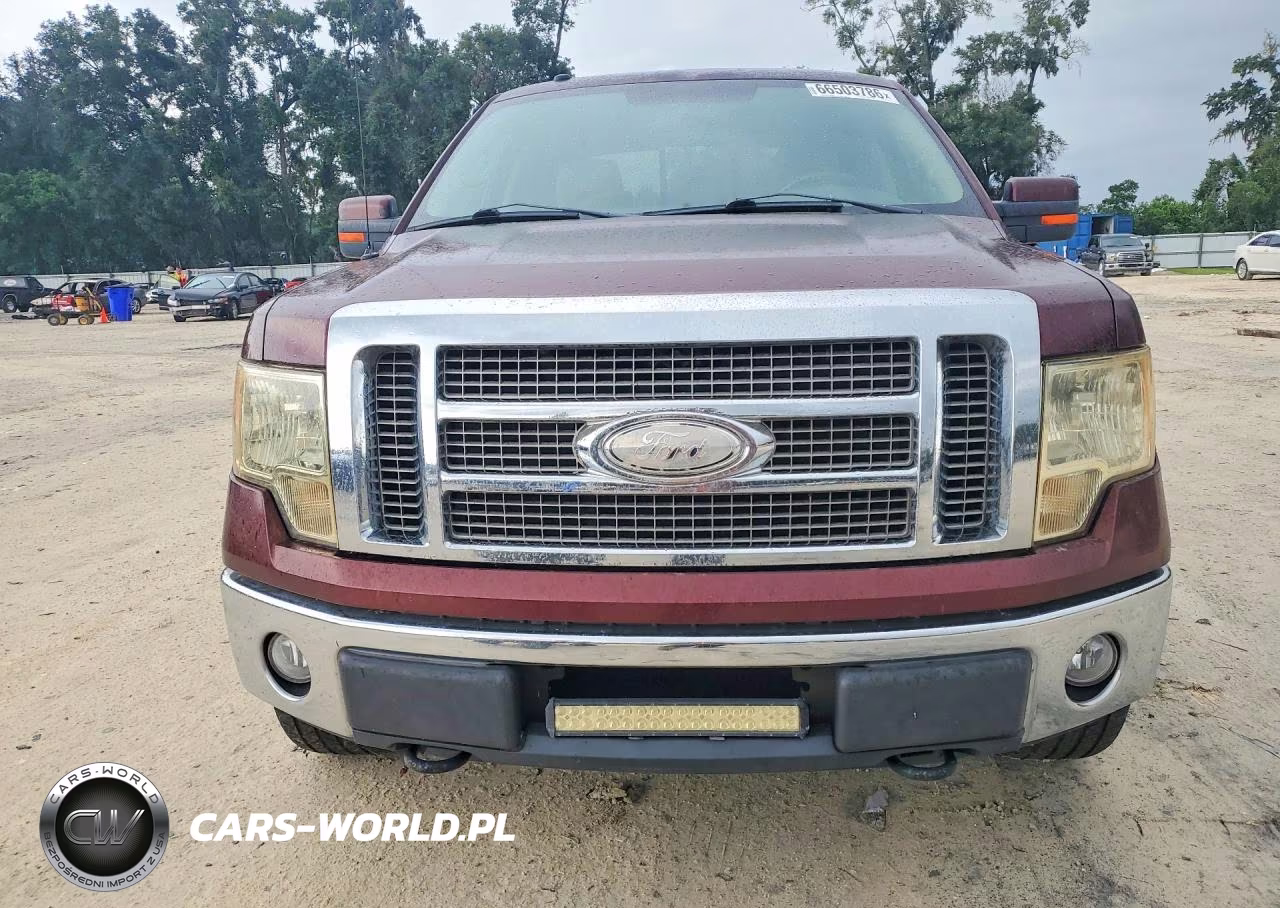 2009 Ford F150 Supercrew VIN:1FTPW14V99KB31762 - 5