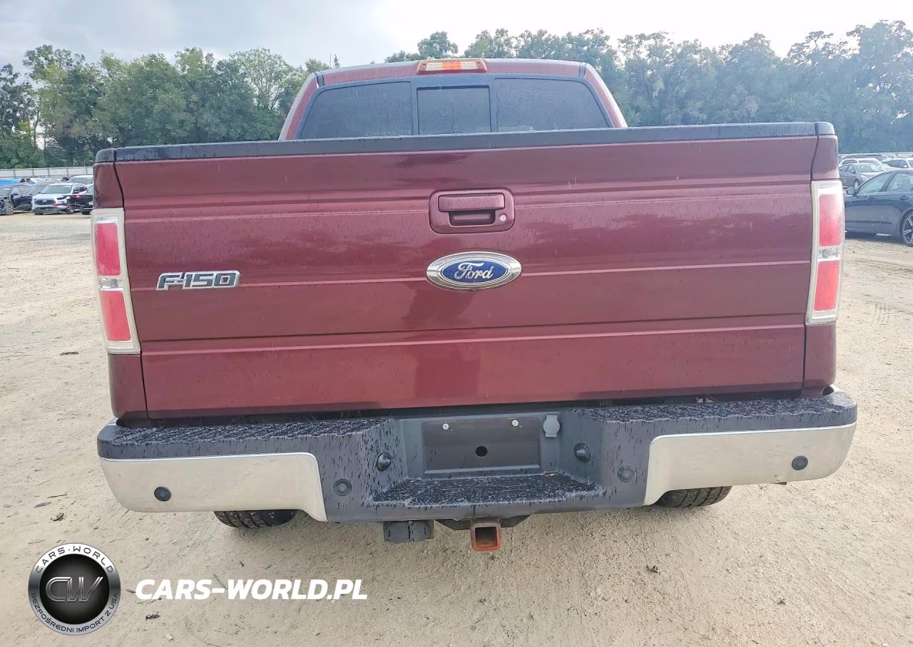 2009 Ford F150 Supercrew VIN:1FTPW14V99KB31762 - 6