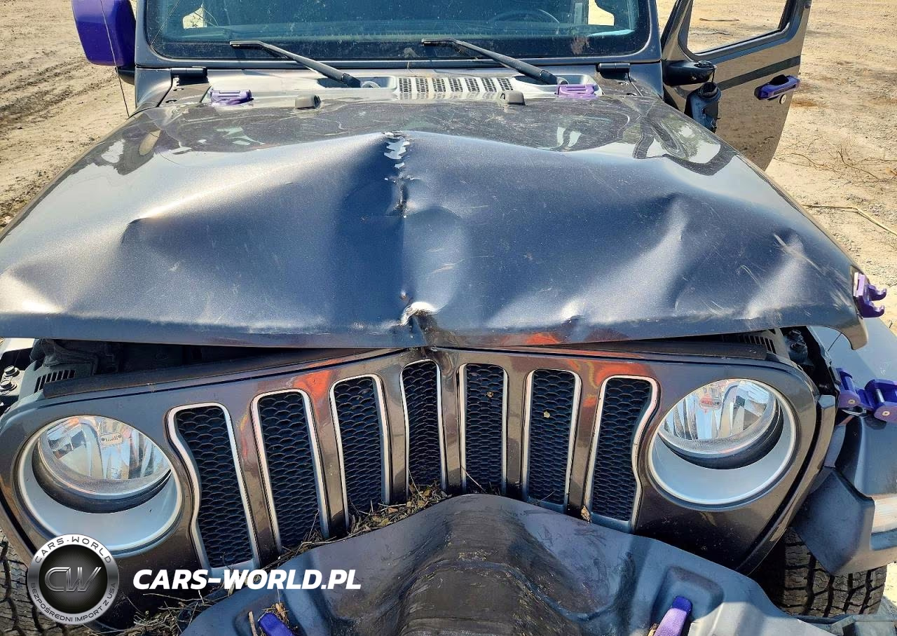 2020 Jeep Wrangler Unlimited Sahara VIN:1C4HJXEN1LW280669 - 11