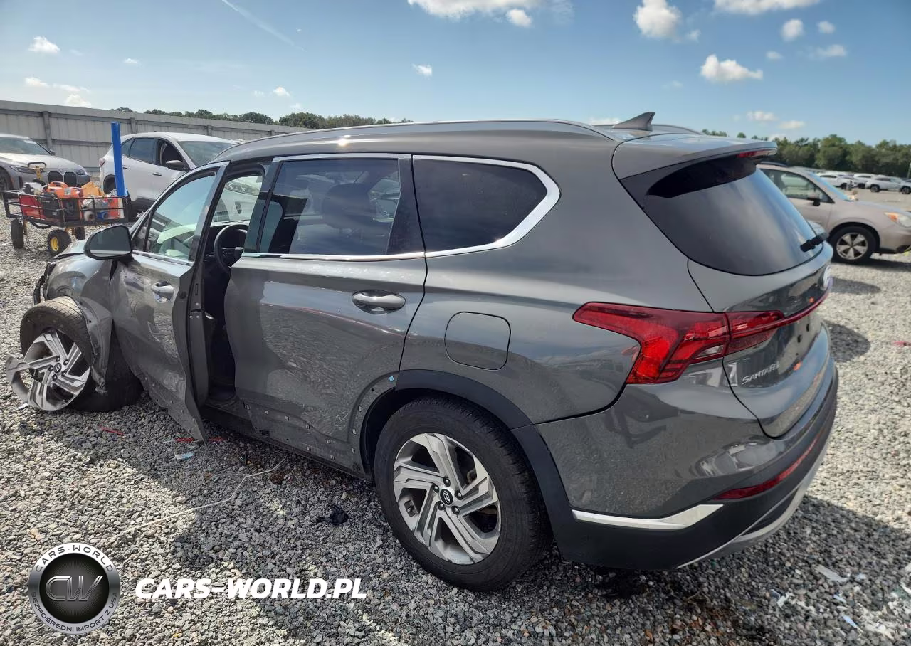 2021 Hyundai Santa Fe Sel VIN:5NMS24AJ8MH330542 - 2