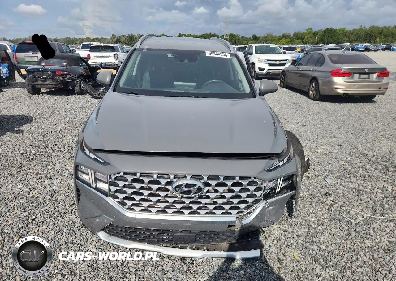 2021 Hyundai Santa Fe Sel VIN:5NMS24AJ8MH330542 - 5
