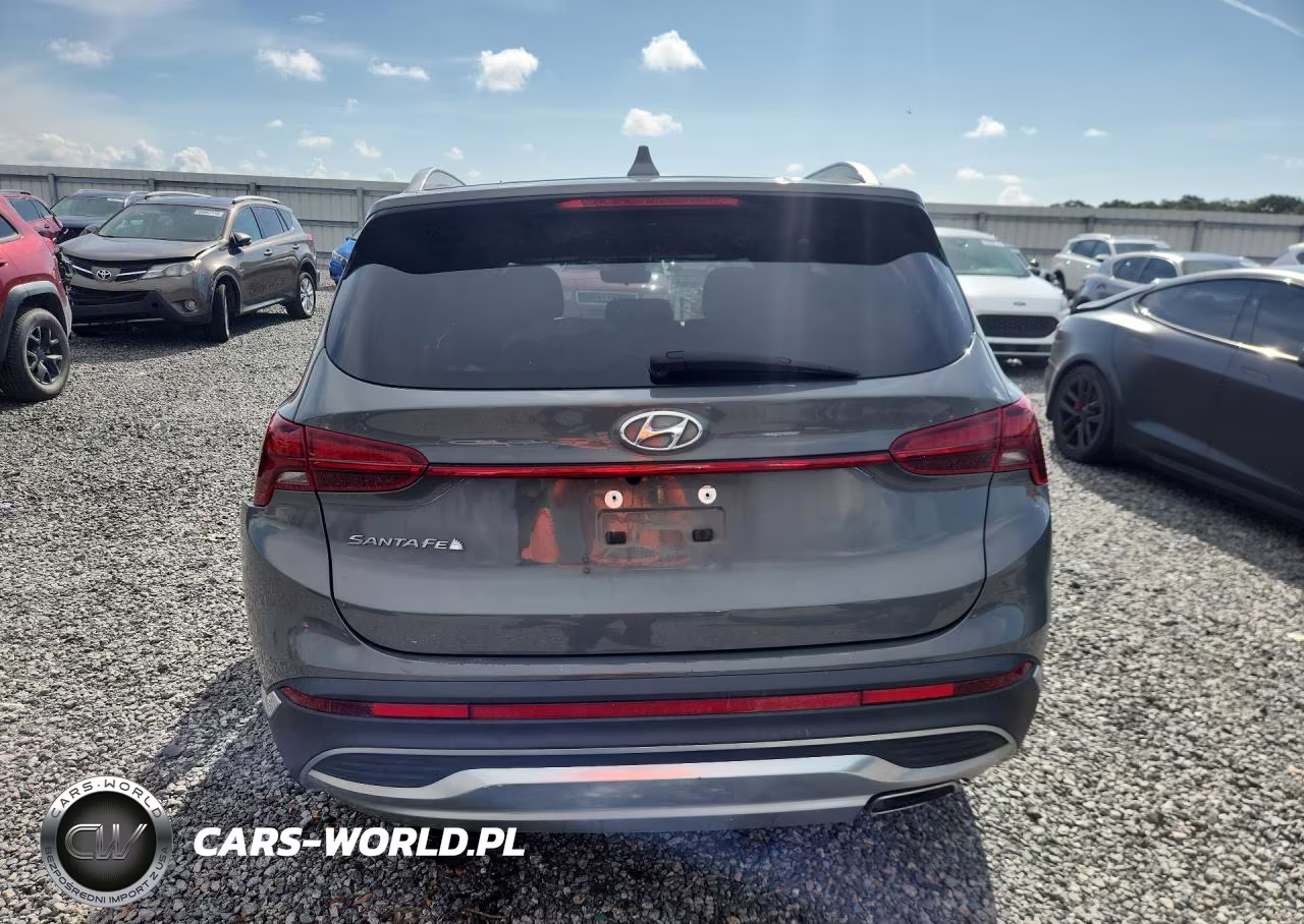2021 Hyundai Santa Fe Sel VIN:5NMS24AJ8MH330542 - 6