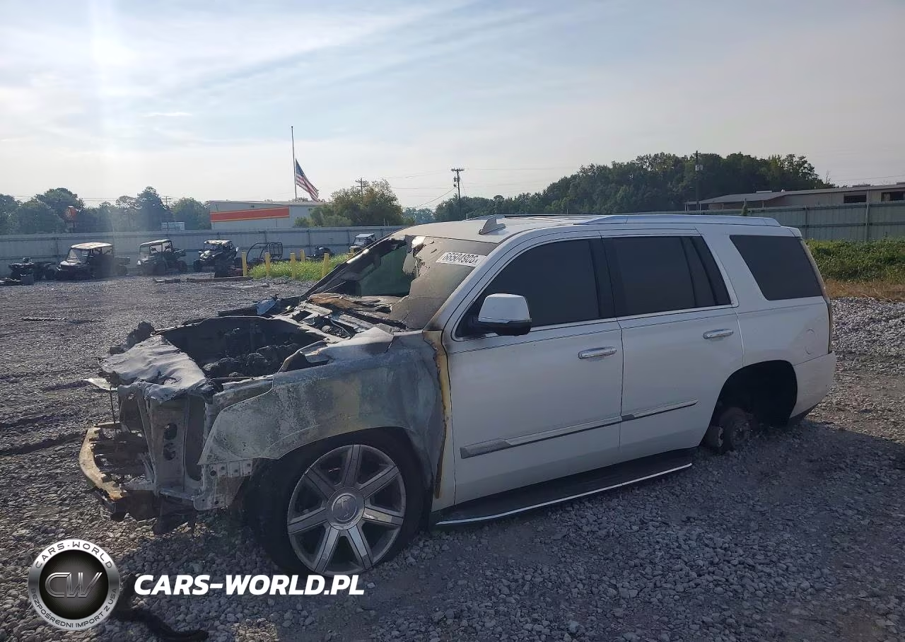 2017 Cadillac Escalade Luxury VIN:1GYS4BKJ5HR165395 - 1