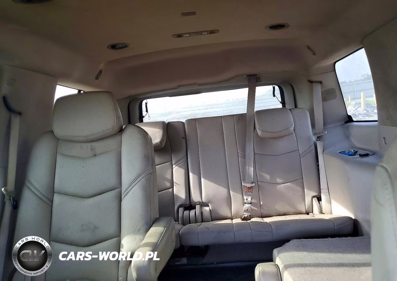 2017 Cadillac Escalade Luxury VIN:1GYS4BKJ5HR165395 - 10