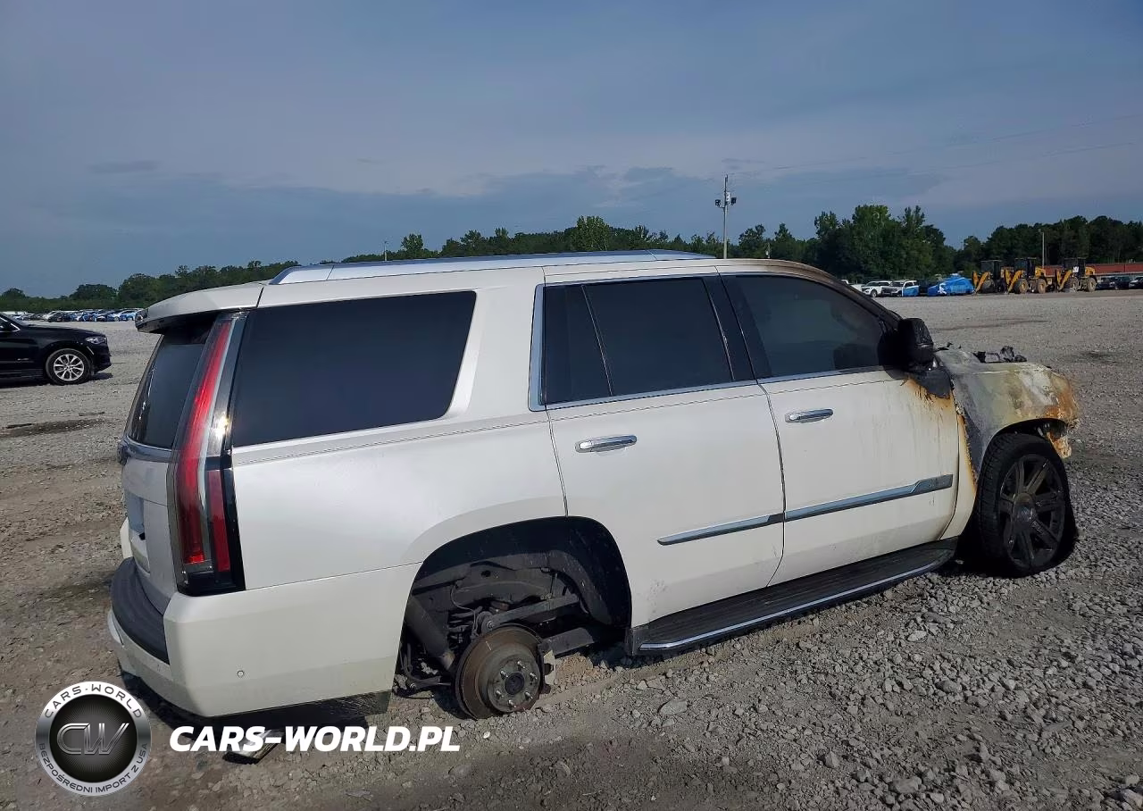 2017 Cadillac Escalade Luxury VIN:1GYS4BKJ5HR165395 - 3
