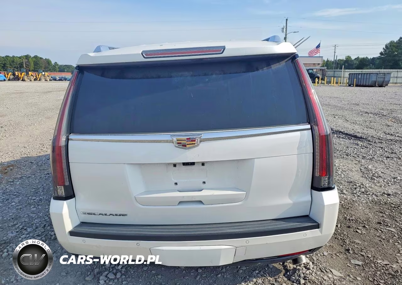 2017 Cadillac Escalade Luxury VIN:1GYS4BKJ5HR165395 - 6