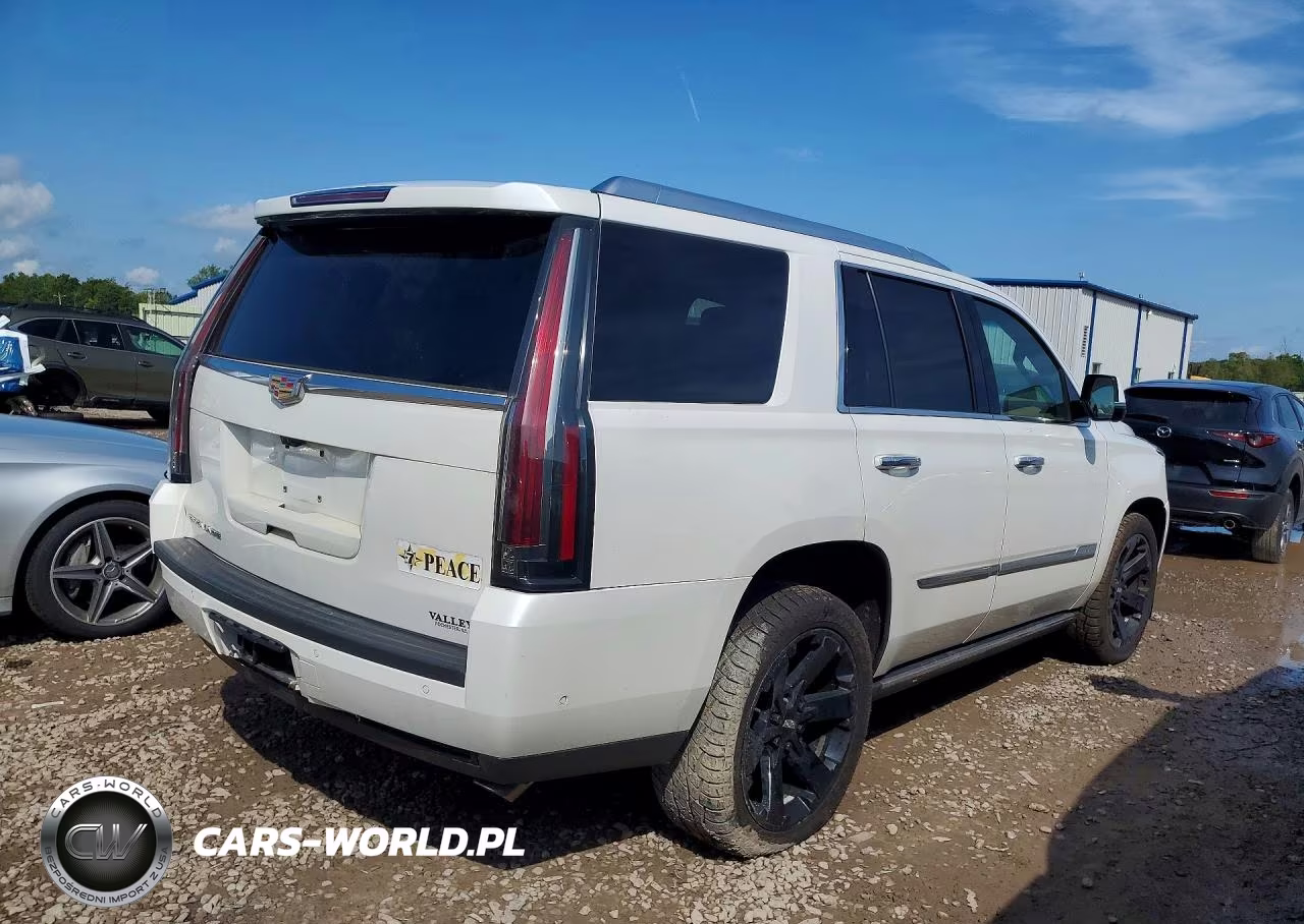 2018 Cadillac Escalade Platinum VIN:1GYS4DKJ9JR304039 - 3