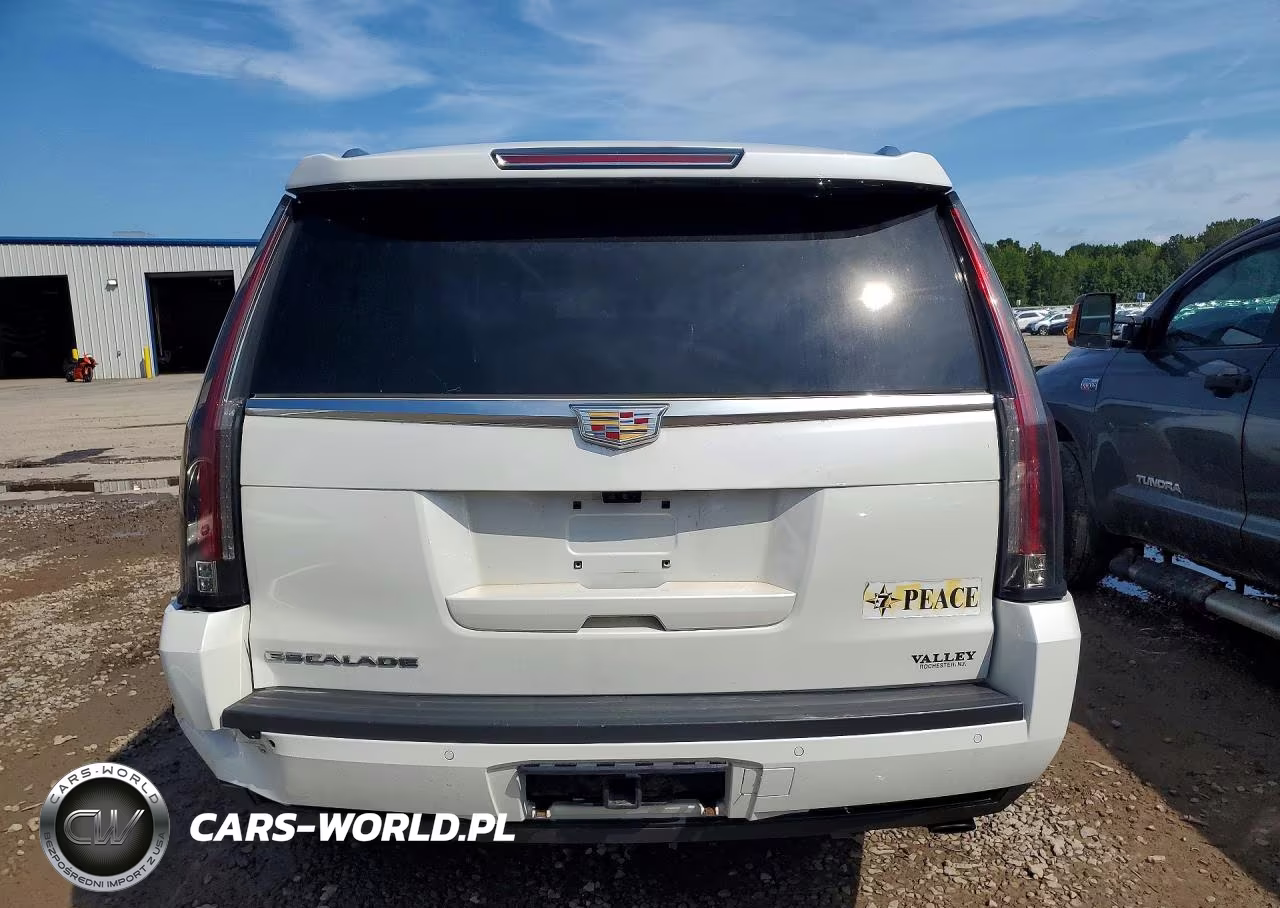 2018 Cadillac Escalade Platinum VIN:1GYS4DKJ9JR304039 - 6
