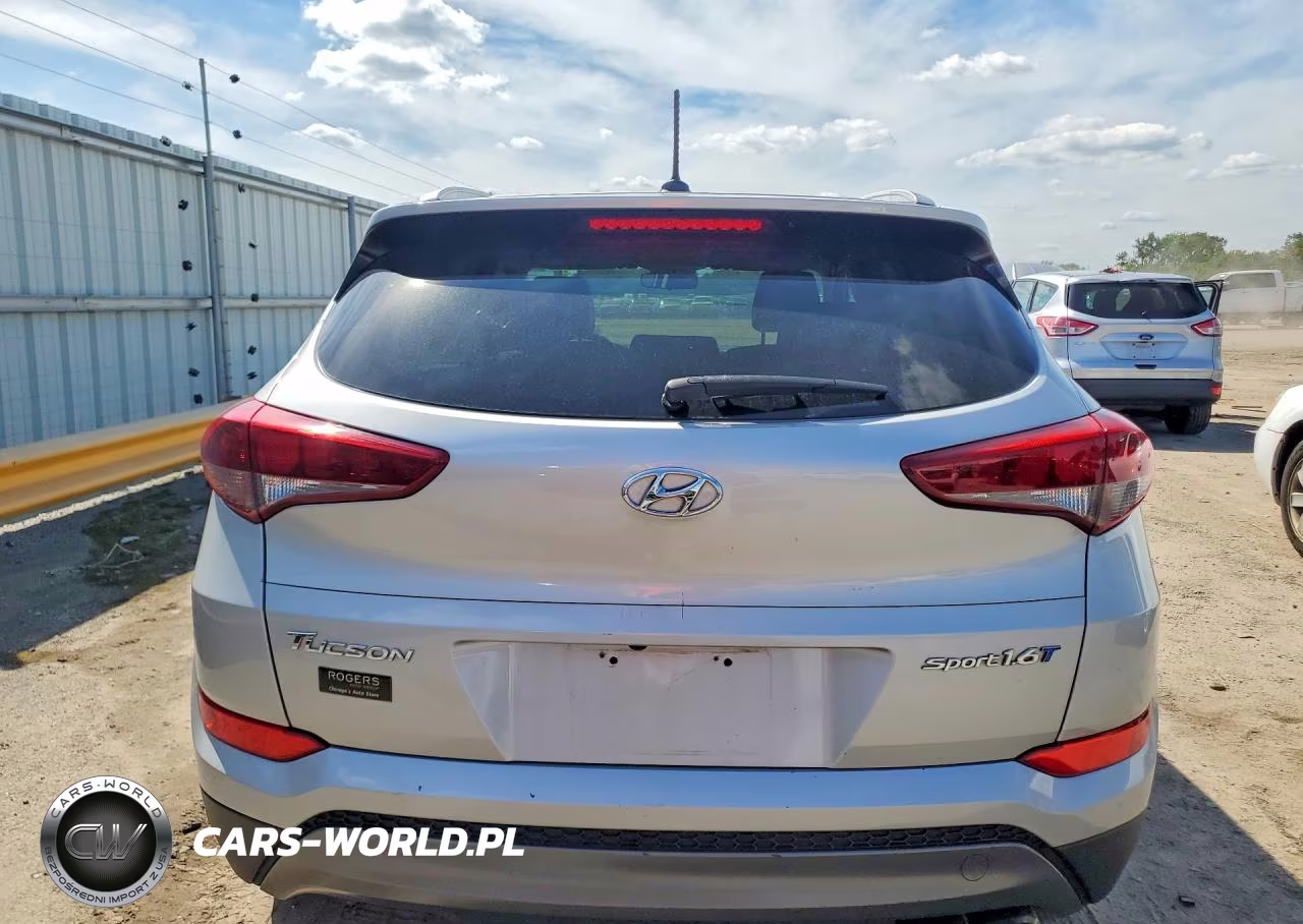 2016 Hyundai Tucson Sport VIN:KM8J33A24GU060519 - 6