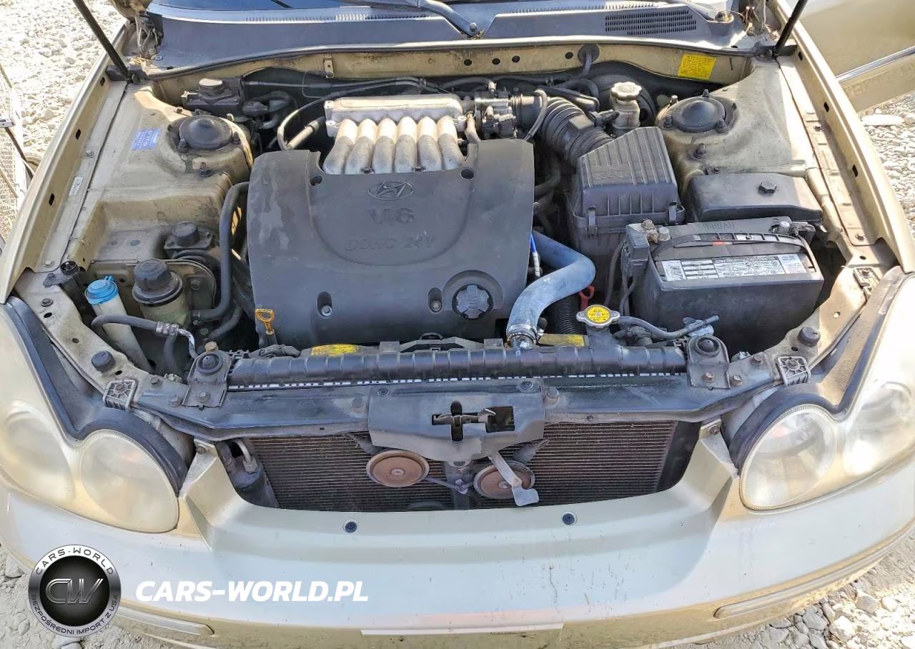 2002 Hyundai Sonata Gls VIN:KMHWF35H62A702132 - 11