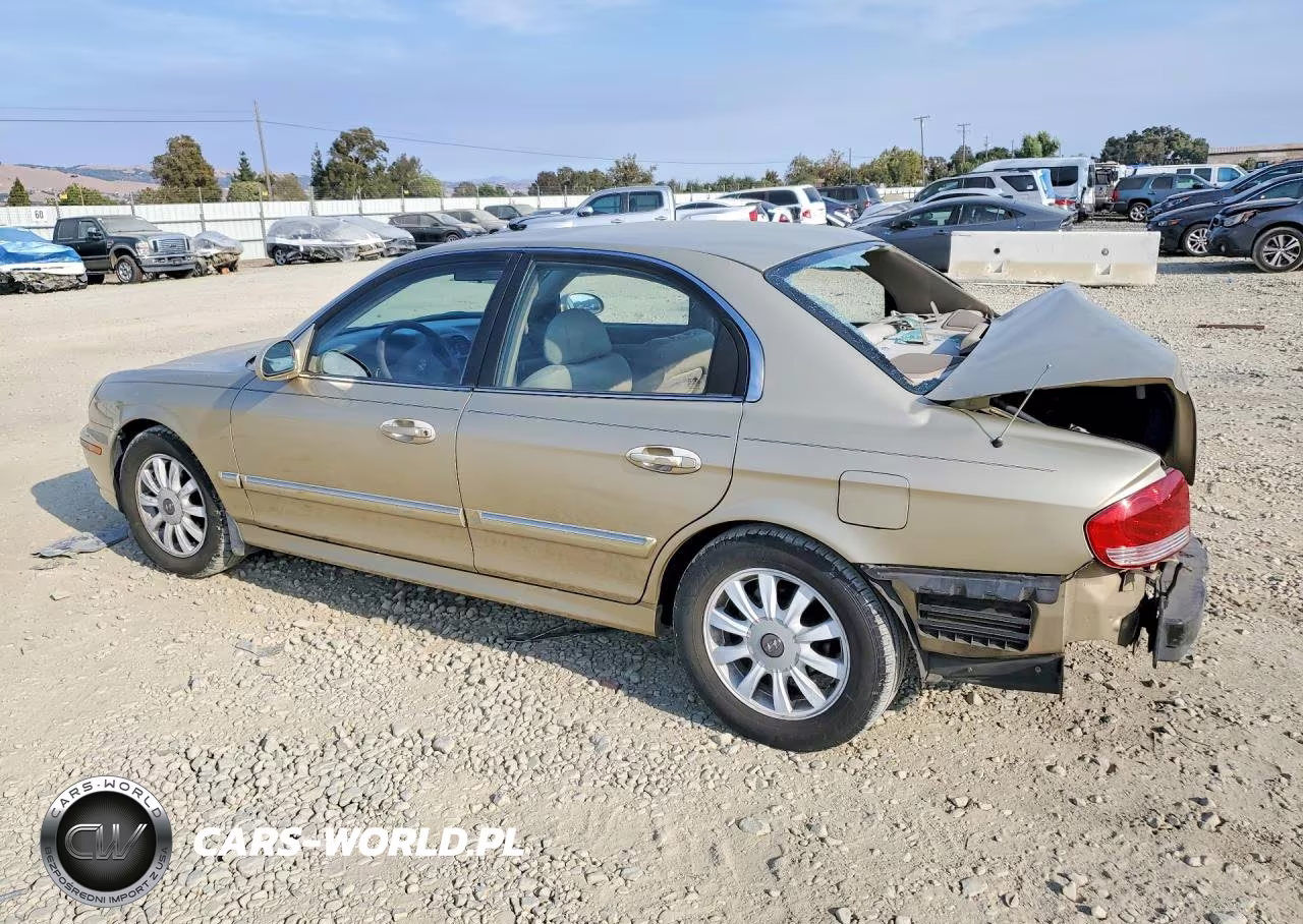 2002 Hyundai Sonata Gls VIN:KMHWF35H62A702132 - 2