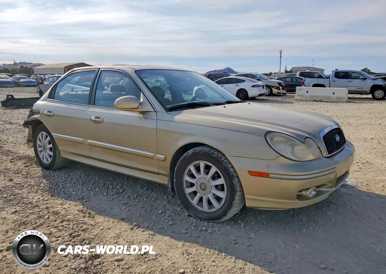 2002 Hyundai Sonata Gls VIN:KMHWF35H62A702132 - 4