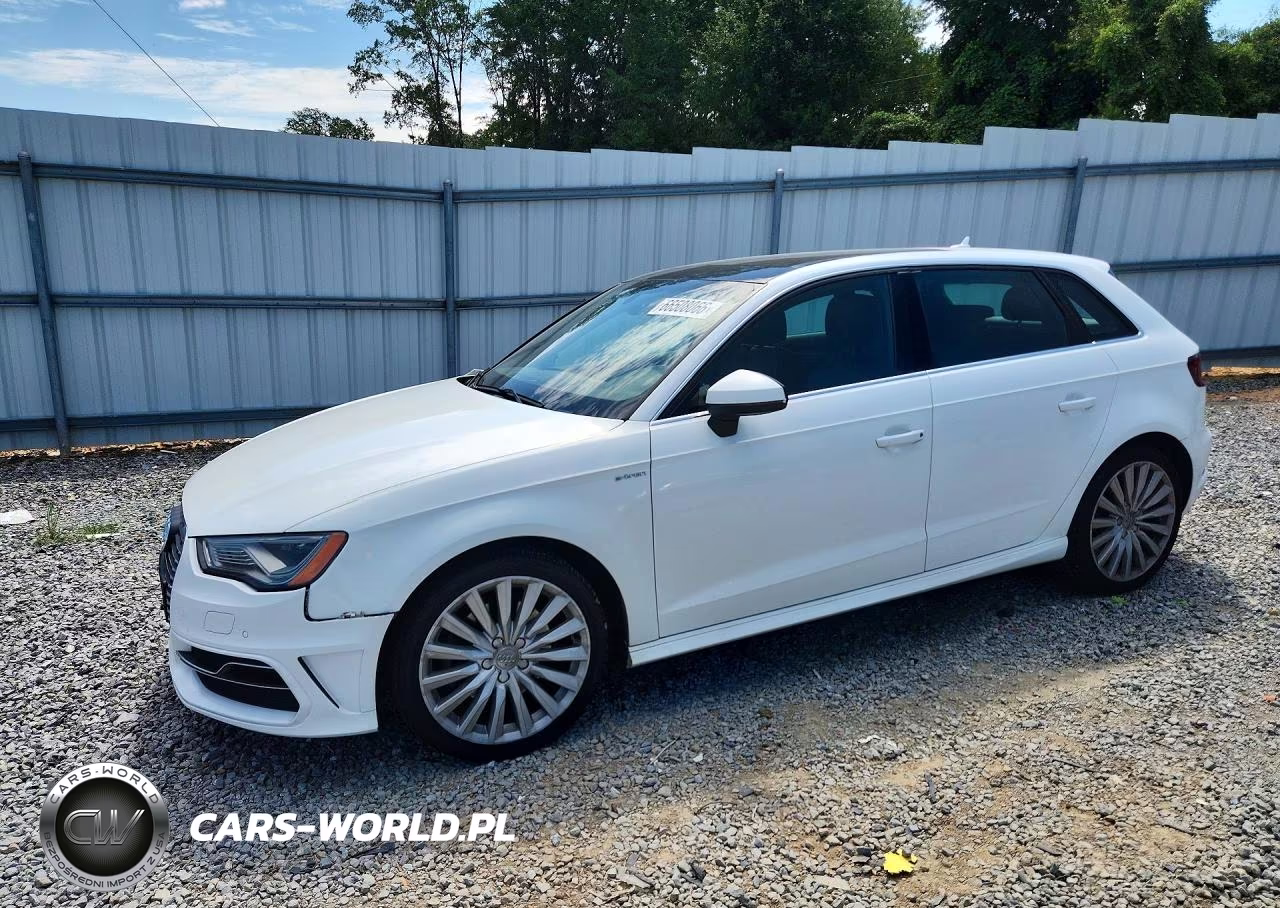 2016 Audi A3 E-Tron Premium Plus VIN:WAUTPBFFXGA118154 - 1