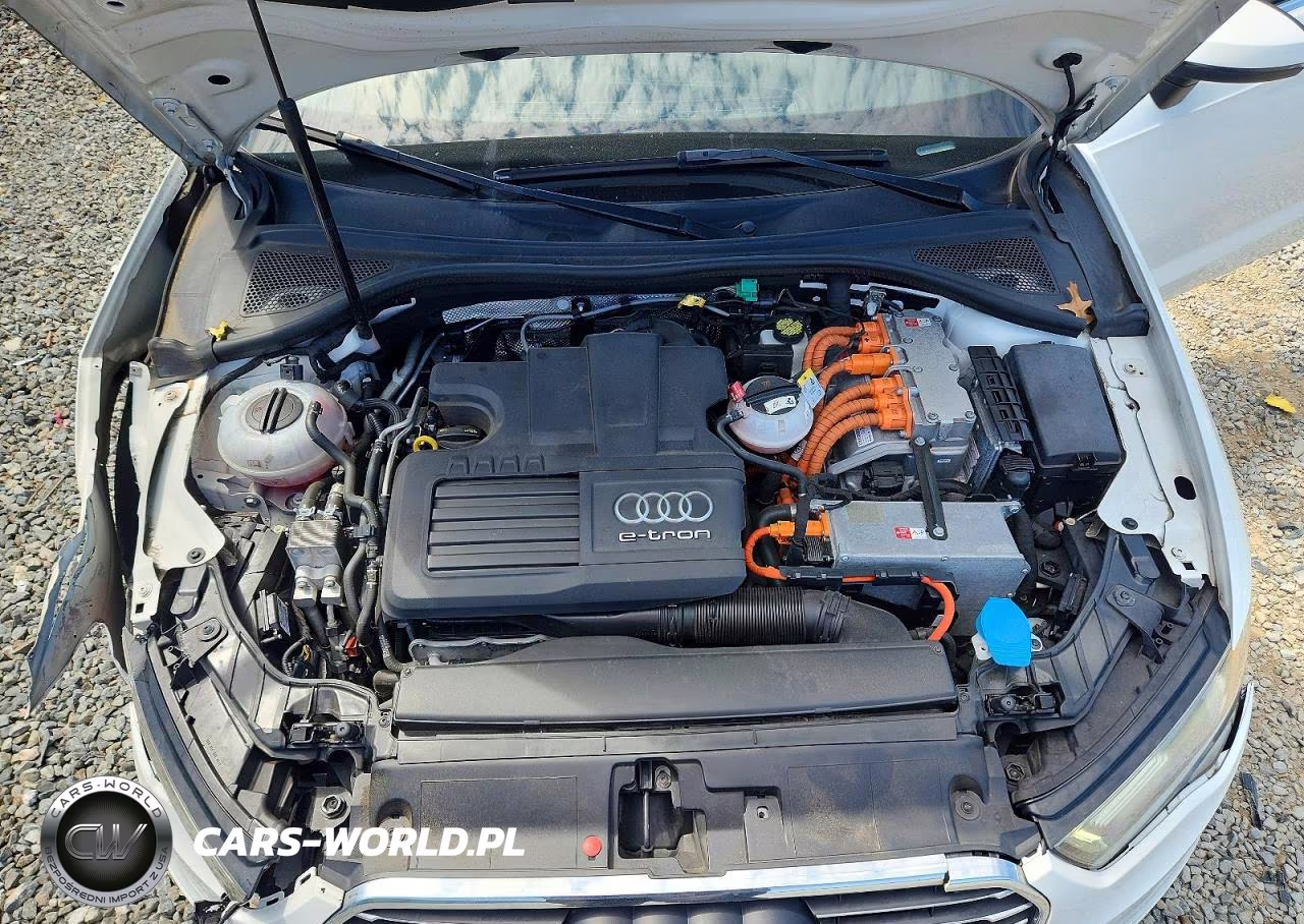2016 Audi A3 E-Tron Premium Plus VIN:WAUTPBFFXGA118154 - 11