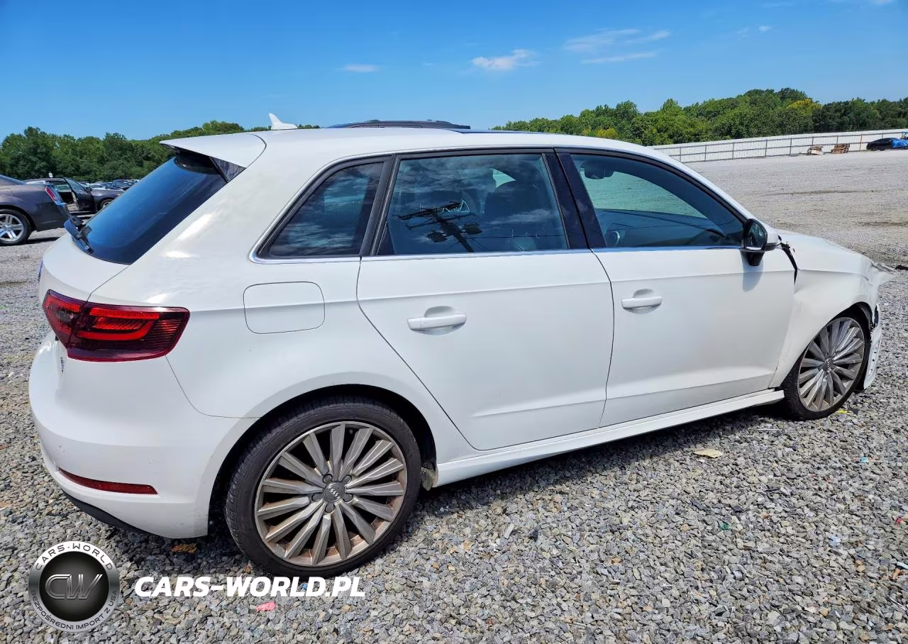 2016 Audi A3 E-Tron Premium Plus VIN:WAUTPBFFXGA118154 - 3