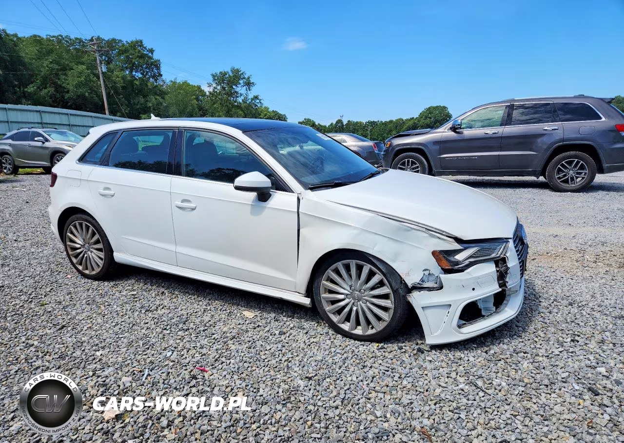 2016 Audi A3 E-Tron Premium Plus VIN:WAUTPBFFXGA118154 - 4