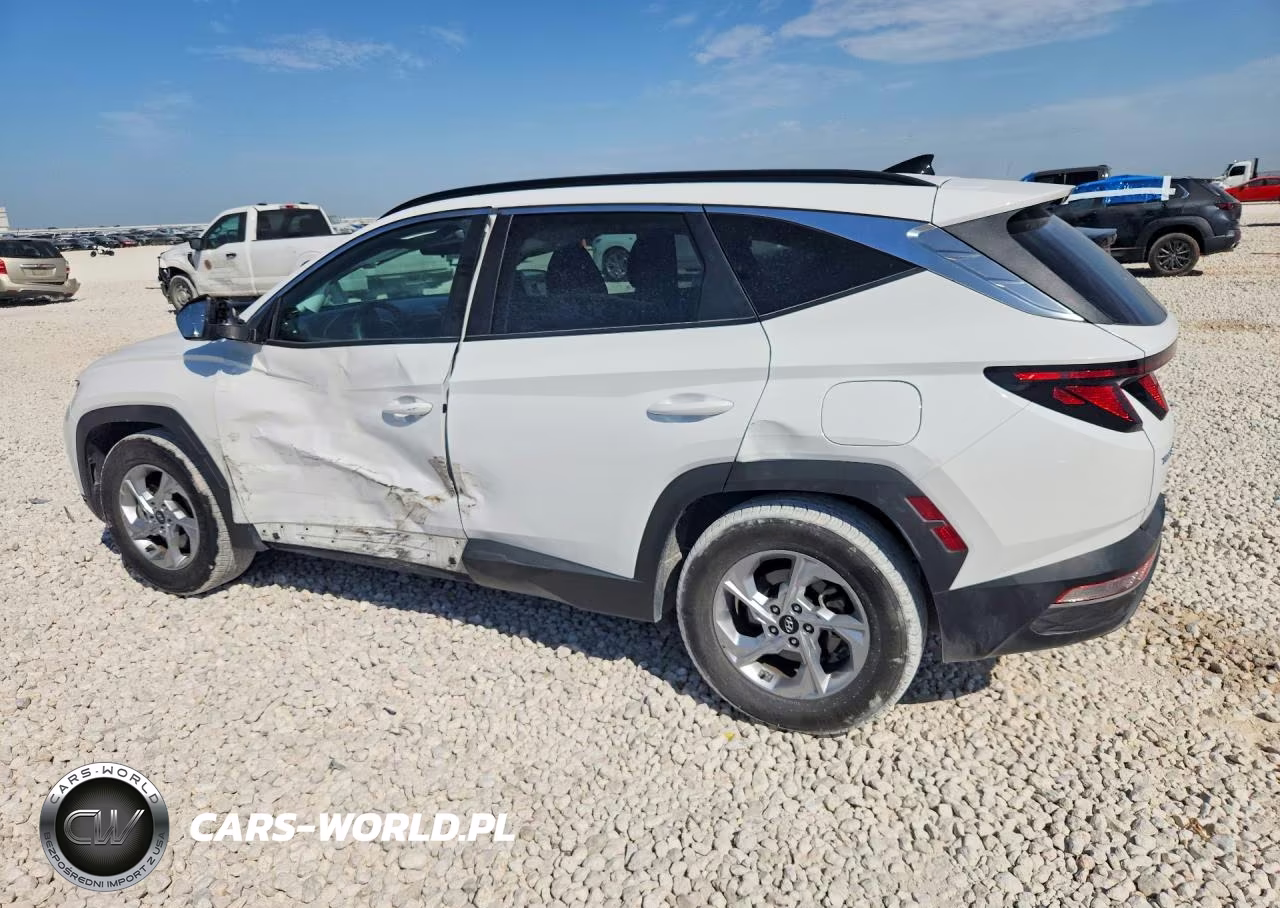2024 Hyundai Tucson Sel VIN:5NMJB3DE6RH316621 - 2