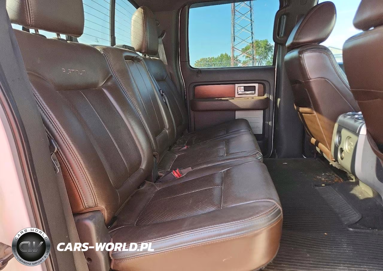 2010 Ford F150 Supercrew VIN:1FTFW1EV8AFC11402 - 10