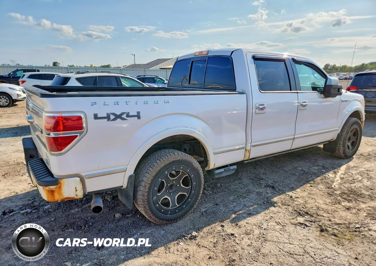 2010 Ford F150 Supercrew VIN:1FTFW1EV8AFC11402 - 3