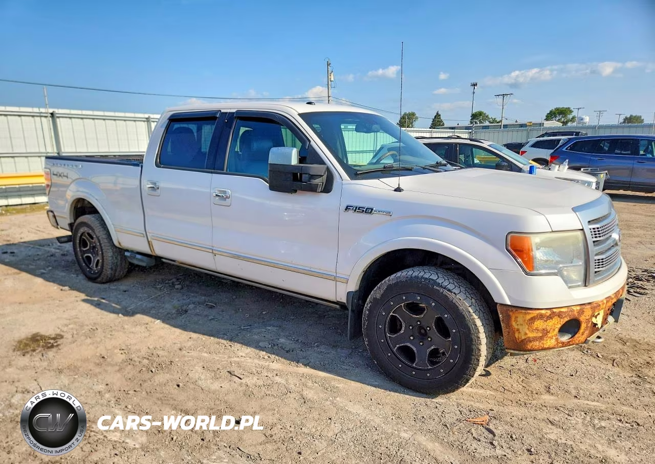 2010 Ford F150 Supercrew VIN:1FTFW1EV8AFC11402 - 4