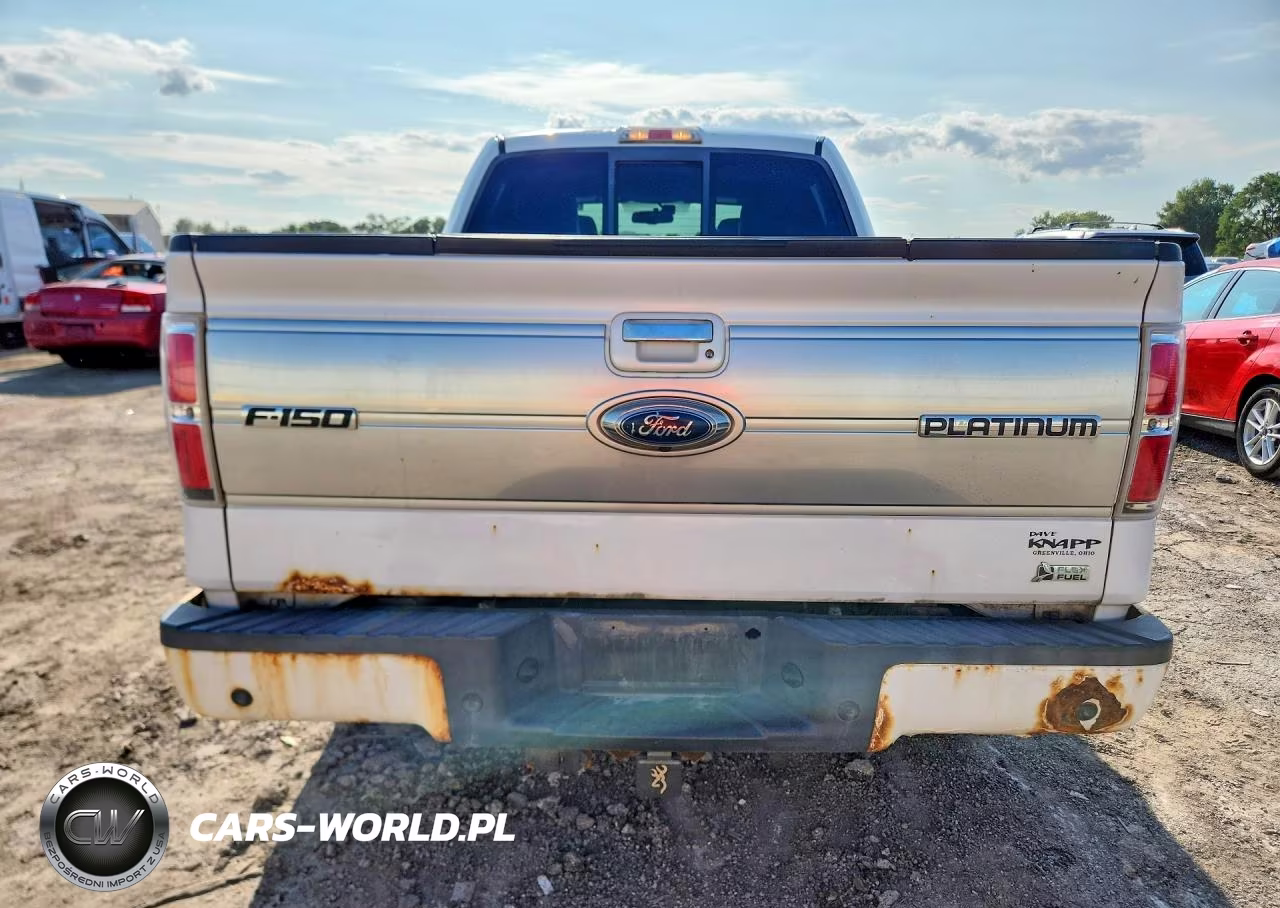 2010 Ford F150 Supercrew VIN:1FTFW1EV8AFC11402 - 6