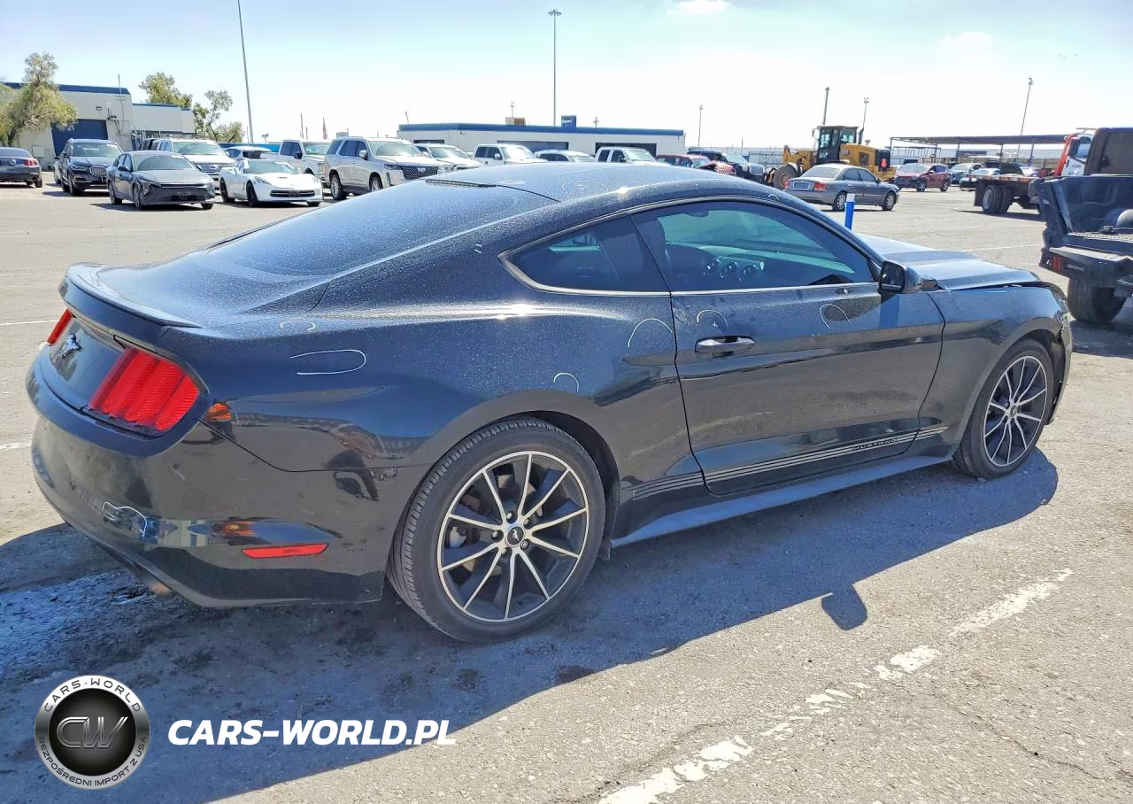 2015 Ford Mustang Ecoboost VIN:1FA6P8TH5F5404029 - 3