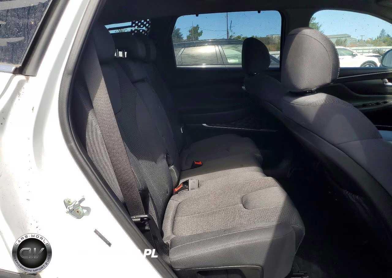 2019 Hyundai Santa Fe Sel Plus 2.4L VIN:5NMS3CAD6KH122299 - 11