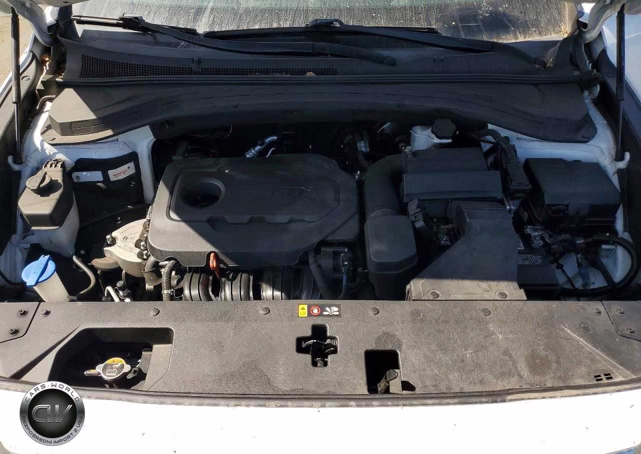 2019 Hyundai Santa Fe Sel Plus 2.4L VIN:5NMS3CAD6KH122299 - 12