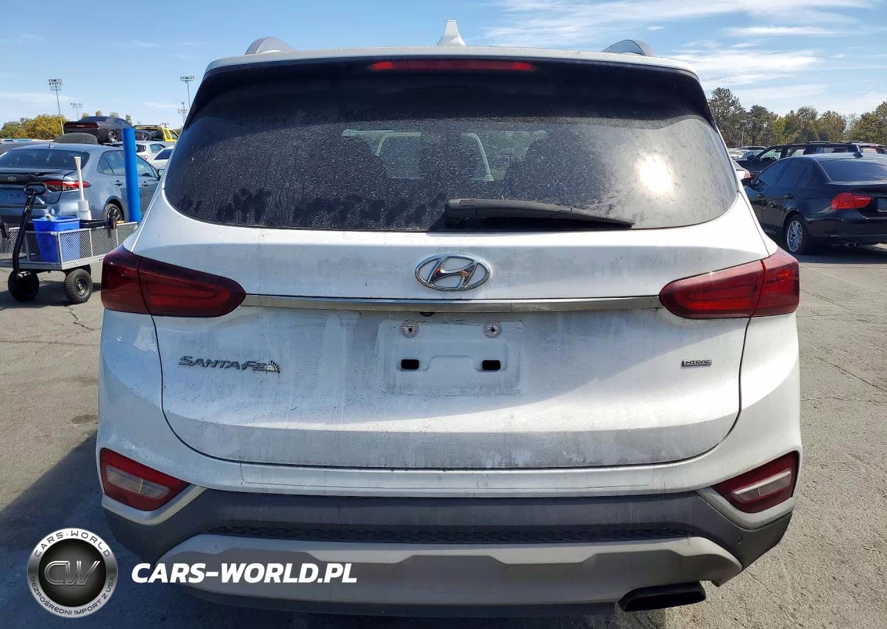 2019 Hyundai Santa Fe Sel Plus 2.4L VIN:5NMS3CAD6KH122299 - 6