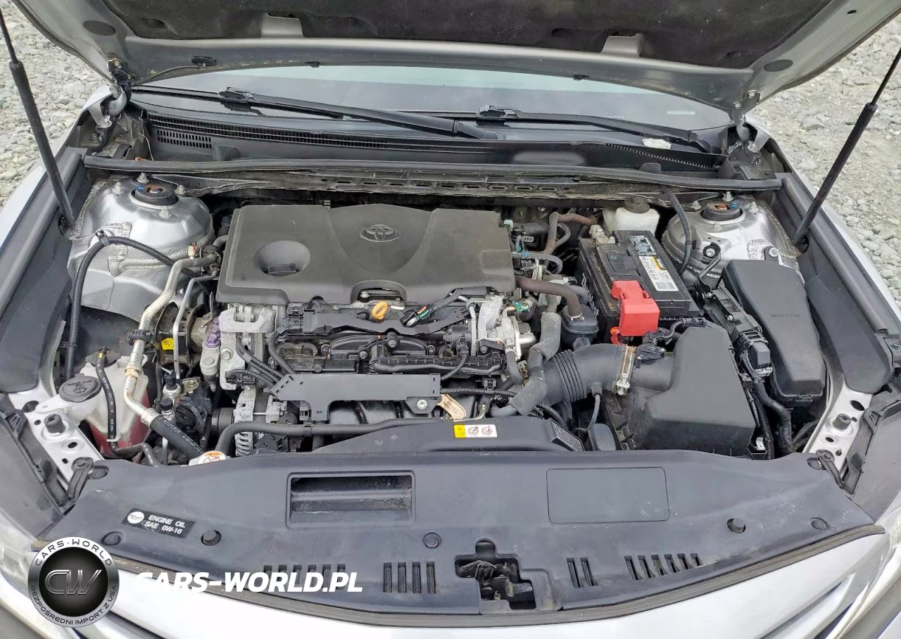 2019 Toyota Camry Se VIN:4T1B11HK4KU184965 - 11
